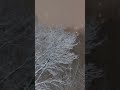 Snowfall at night in Toronto -