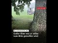 Blitzeinschlag: Golfer filmt wie er selbst vom Blitz getroffen wird