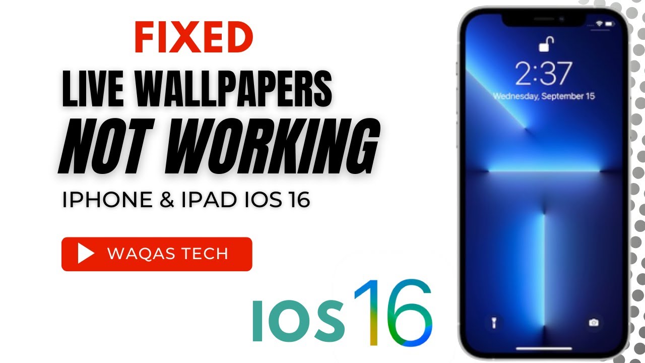 How To Fix Live Wallpaper Not Working On iOS 16 Update !! Live