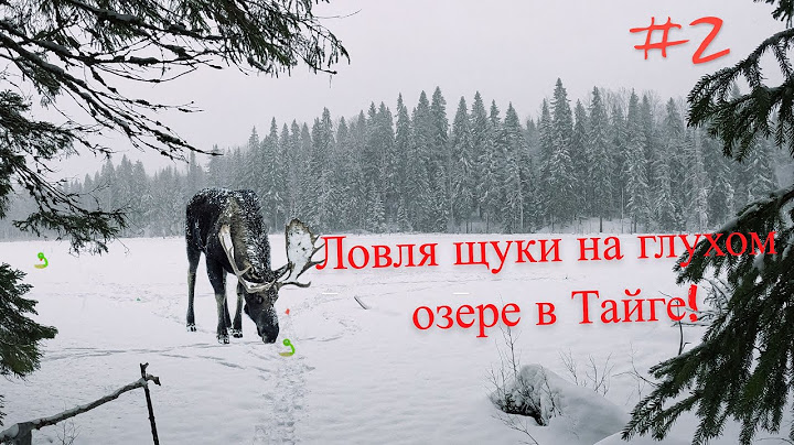 Winter Fishing for ZERLITSY in the Taiga Thicket QHD #2