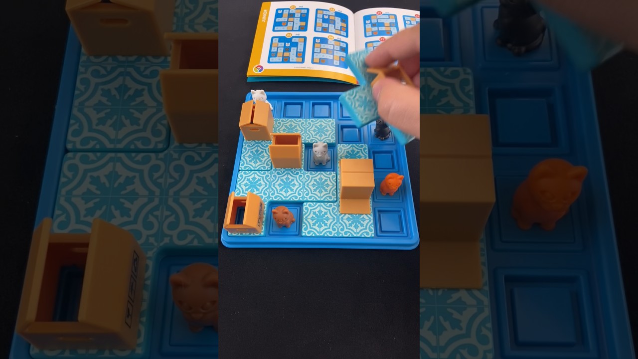 Cover the cats with the boxes in the Cats & Boxes puzzle. 