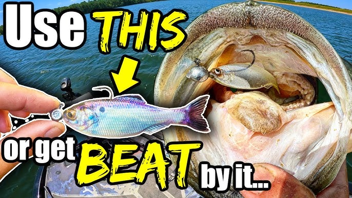 PRO SECRETS to using THESE SWIMBAIT models that will catch you BIG