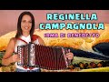 Reginella campagnola  irma di benedetto  organetto abruzzese accordion