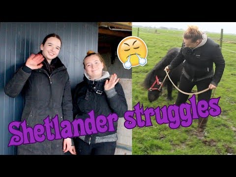 Wat je meemaakt