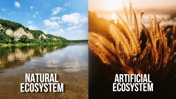 DIFFERENCE BETWEEN NATURAL ECOSYSTEM AND ARTIFICIAL ECOSYSTEM