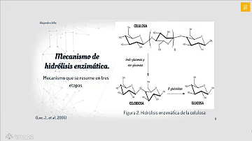 ¿Cómo se obtiene la enzima celulasa?