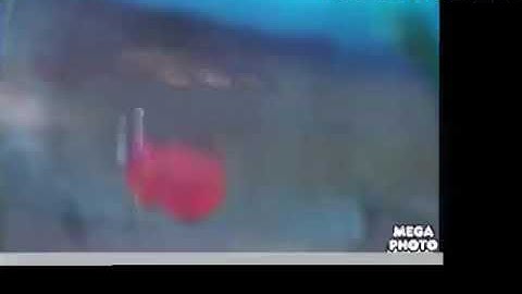 THE ANT BULLY Movie Trailer