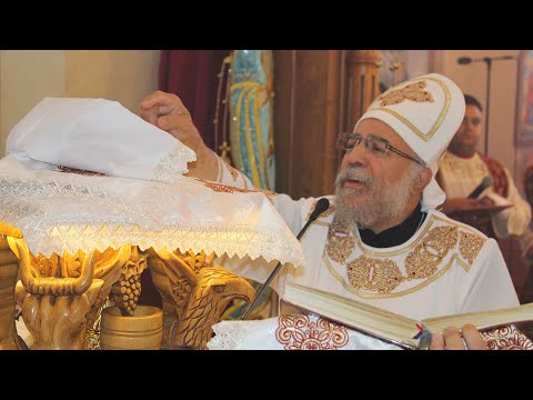 قدوس الغريغورى ابونا يوحنا فؤاد