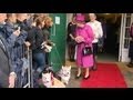 All the Queen's Corgis