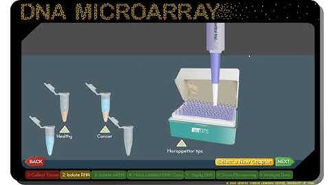 DNA MICROARRAY Virtual Lab