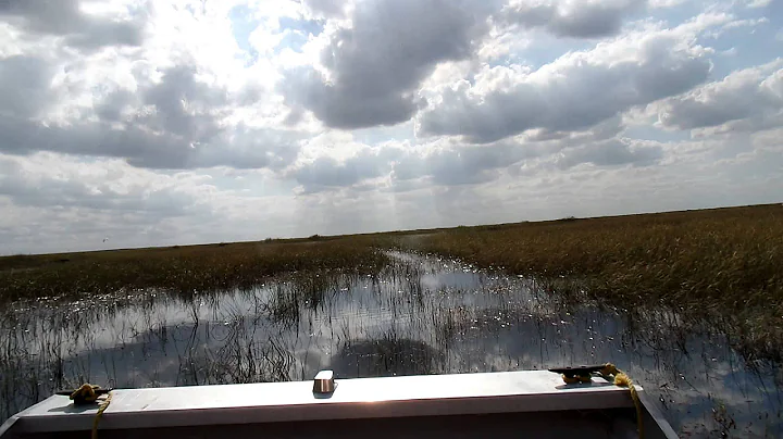 Airboat through the Everglades