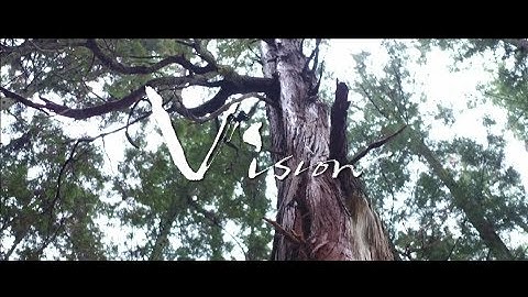 映画『Vision 』特報
