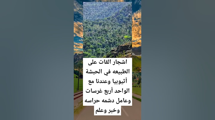 اشجار القات على الطبيعه في الحبشة أثيوبيا وعندنا مع الواحد أربع غرسات وعامل دشمه حراسه وخبر وعلم