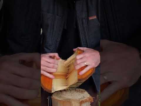 Cherry Splitting ASMR ✨