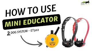How to use your 2 Dog System Mini Educator - Et 302 Two Dog System from ECollar Technologies