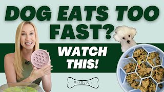 Is Your Dog Eating Too Fast? Here's How to Slow Them Down! | Proud Dog Mom