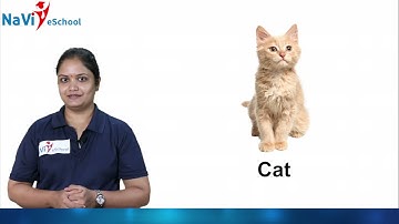 Karnataka State Syllabus | Grade 1 | EVS | Chapter 1- Animals Around Us | Part 3