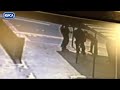 Caught on camera: dog abuser Daniel Michael Peel from Darlington