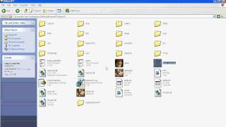 How to fix xtrap bug (pristontale)