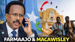 Deg Deg Ciidamo Awood Leh Oo Galay Saaka Gurigii Farmaajo Ceel Jaale & Arin Farxad Leh Oo Ay Ku Ark