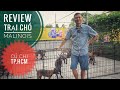 Review Trại Chó Malinois tại Củ Chi - TP. Hồ Chí Minh/ NhamTuatTV - Dog in Vietnam