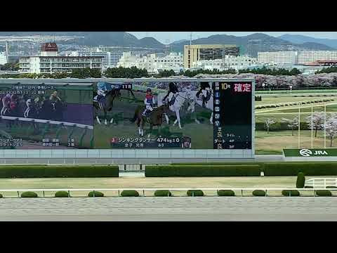 中山グランドジャンプ(GI) 本馬場入場