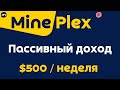 Cтратегия работы на платформе для стейкинга Mine Plex | Пассивный доход $500 в неделю с Mine Plex