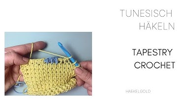 Tunisian Tapestry Crochet  (How to change colors in the row + how to carry yarn in tunisian crochet)
