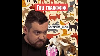 chemodan nicko-гау гаф (feat.Эрик Давидович,вДудь)