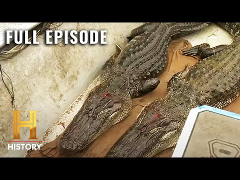 Swamp People: Head-to-Head with MASSIVE Monsters (S12, E14) | Full Episode