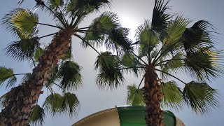 видео: 2025 май - Турция(Кемер) - отель Limak Limra Hotel  Resort - Бассейны и аквапарк картинка: 2025 май - Турция(Кемер) - отель Limak Limra Hotel  Resort - Бассейны и аквапарк