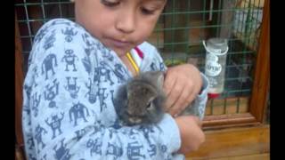 Emirhan'in Cifligi screenshot 4