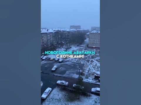 Новогодние аватарки с котиками - YouTube