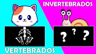 ANIMALES VERTEBRADOS E INVERTEBRADOS para niños  Videos Educativos