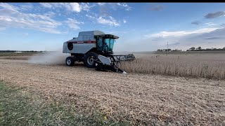 Soybean harvest 2023 has started.