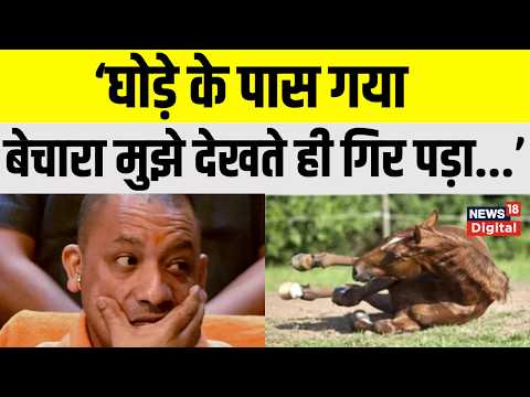 'मुझे देखकर घोड़ा गिर गया, मैं उस पर सवार होता तो क्या होता?' CM Yogi | Horse | Viral News Video