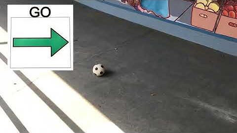 Sight Word Core Word “Go”