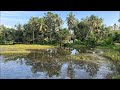 90_s_Story is live! ഗ്രാമീണ ചായ😍