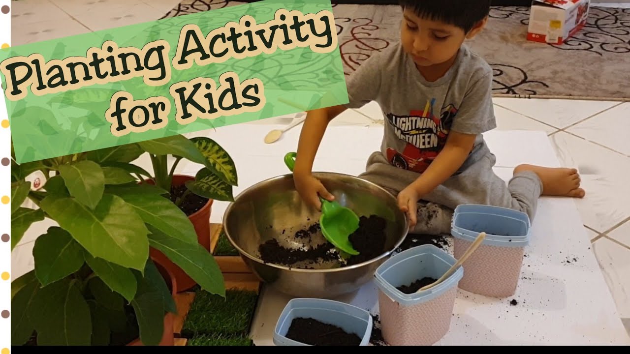 3 most easy planting Activities for your kids preschooler YouTube