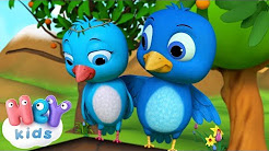 Comptines Sur Les Animaux