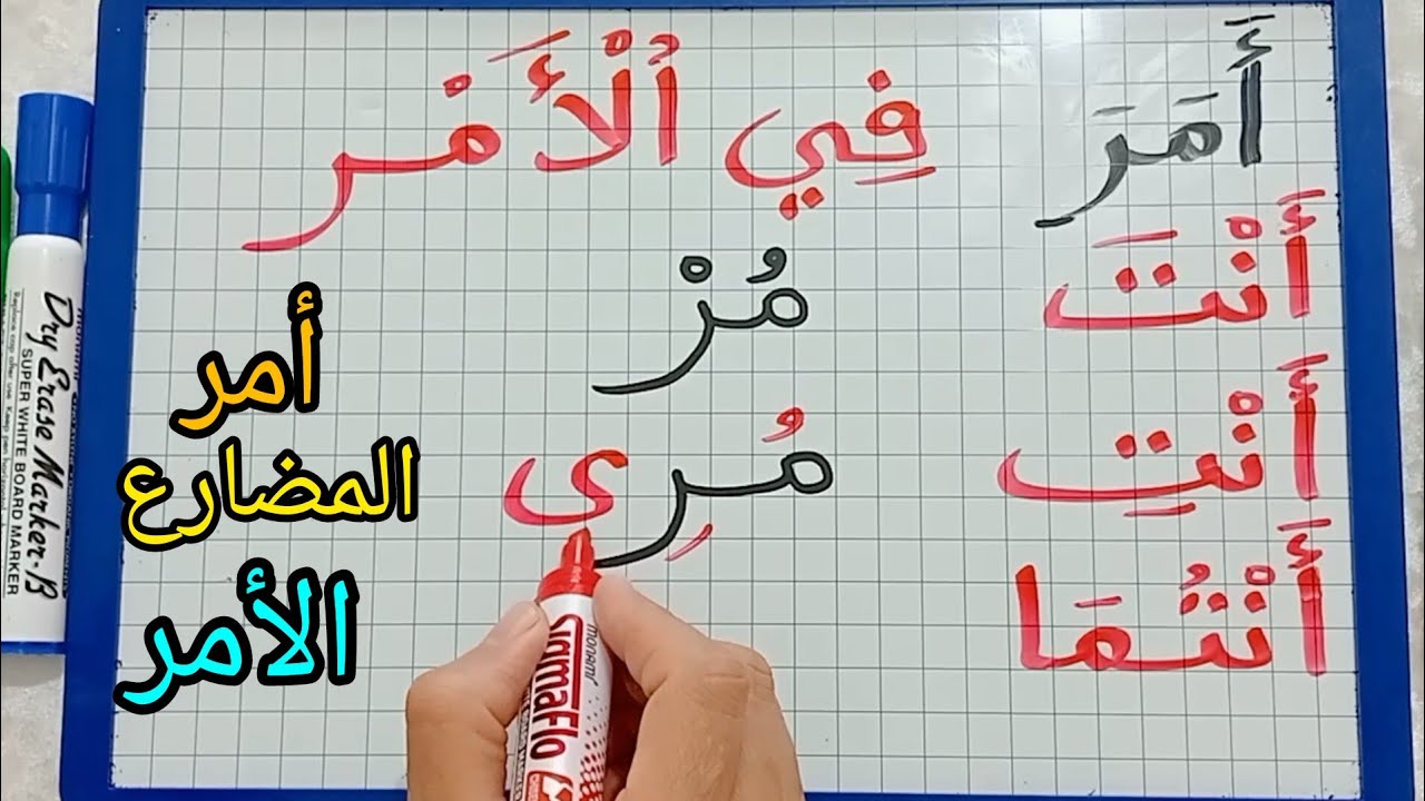 الدرس184:تصريف الأفعال المهموزة/كيف يصرف فعل( أمر )في المضارع والأمر