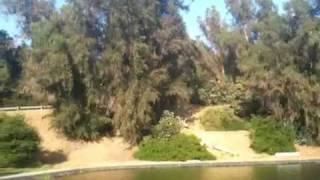 Casting Pond in Pasadena CA