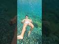 Damn Grrr Shortvideo Nature Damn Grrr Shortvideo Nature