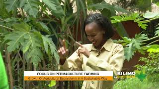 Focus On Permaculture Farming | Kilimo na Biashara