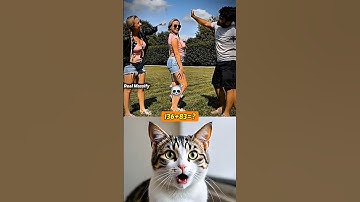 New trick for watching 😂🤣 #funny #cat #dance #shorts