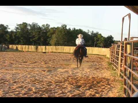 Brandon Salmons Horsemanship