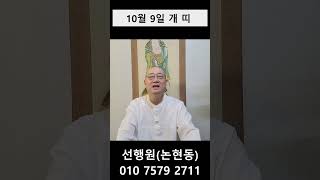 10월 9일   개띠 #내일의운세 #오늘의운세 #10월