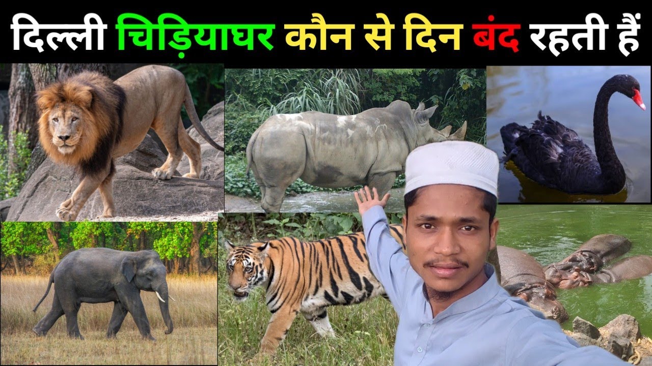 दिल्ली का चिड़ियाघर किस दिन बंद रहता है | Delhi ka chidiyaghar kisdin bandrahata hai