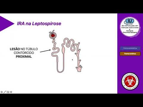 Vídeo: Leptospirose: Parte 2 - Totalmente Vetado