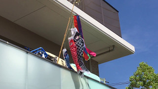 Koi-nobori (Carp Streamers): May 5th, Children's Day in Japan